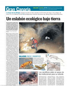Vista de la página de un periódico con un artículo titulado "Un eslabón ecológico bajo tierra", ilustrado con la foto de una persona espeleóloga en el interior de una cueva, así como de fotografías y dibujos de animales.