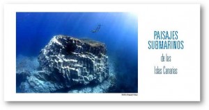 Paisajes_submarinos
