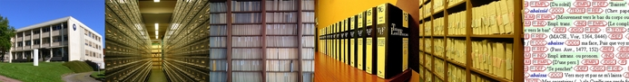6 imágenes de archivos: un edificio, estantes, y una pantalla de la base de datos.