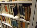 Vista de libros mojados en estanterías del depósito -1