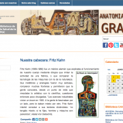 Blog Anatomía de Gray Vista de la parte superior del blog Anatomía de Gray