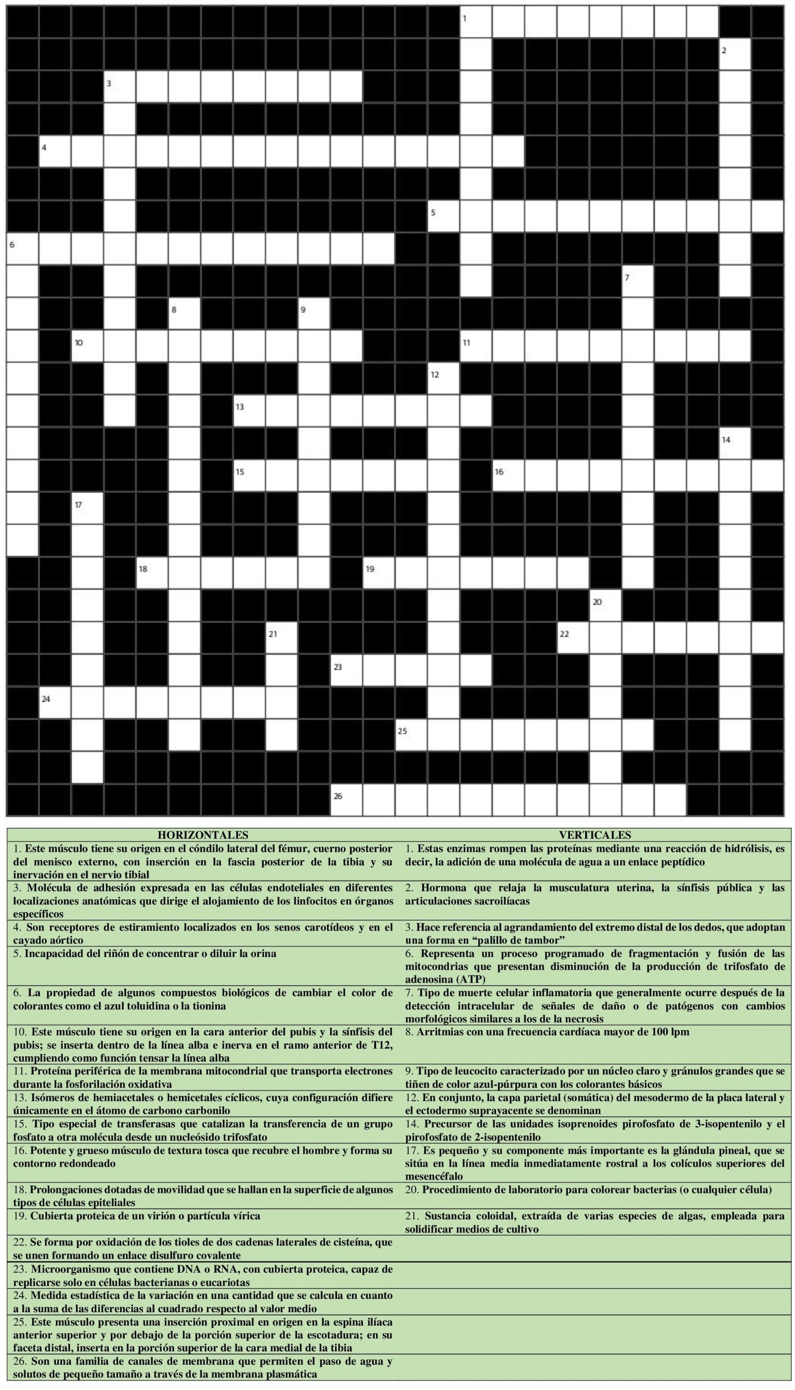 crucigrama