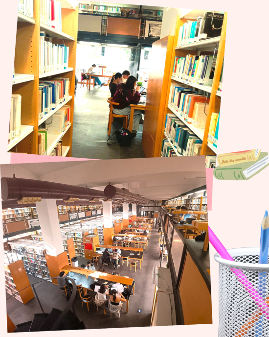 Biblioteca