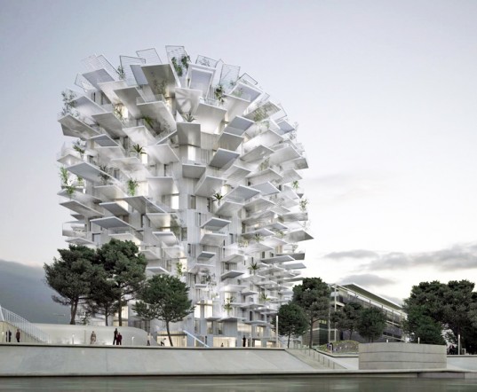 arbre-blanc-Sou-Fujimoto