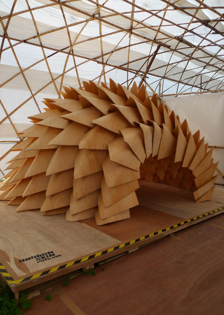 dragonskinpavilion