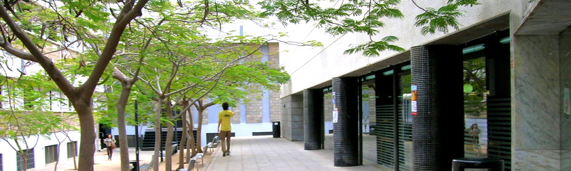 Biblioteca del Campus del Obelisco Vista del patio exterior arbolado y fachada acristalada de la Biblioteca.