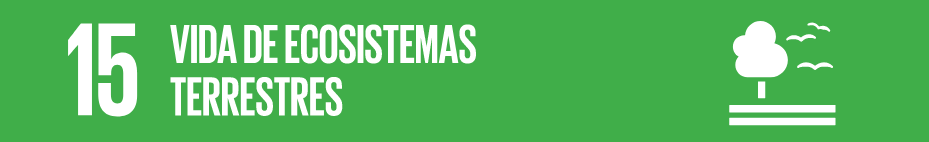 Vida de ecosistemas terrestres