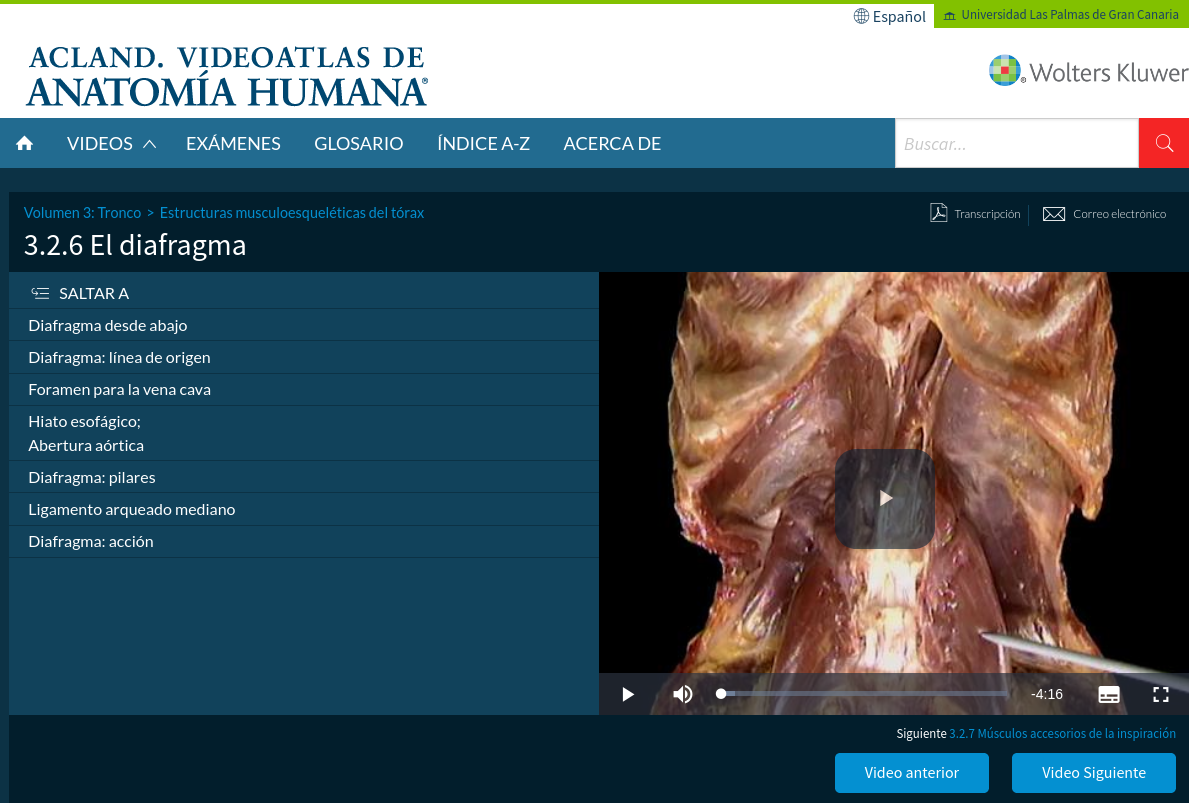Vista de una página del portal Acland dedicada a el diafragma, con la carátula de un vídeo que muestra la disección.