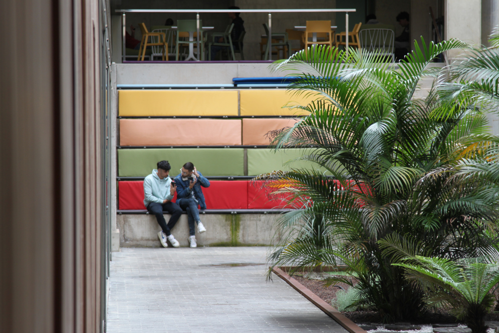 Dos jóvenes sentados en un graderío de hormigón con colchonetas de colores junto a un parterre con palmeras. En la parte superior varias personas sentadas en terraza de biblioteca .