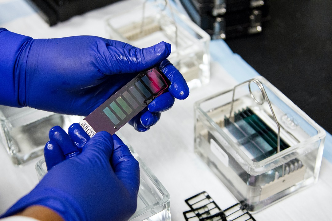 Persona trabajando en un laboratorio