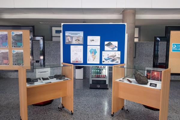 Muestra de la exposición